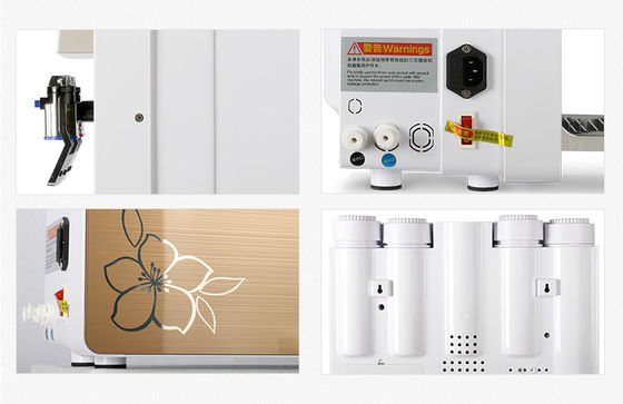 Reverse Osmosis Water Purifier With Heater Auto flush Cleaning 700 Watt 11.8L/H